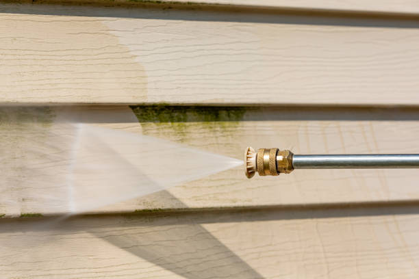 Best Local Pressure Washing Services  in Charles City, IA